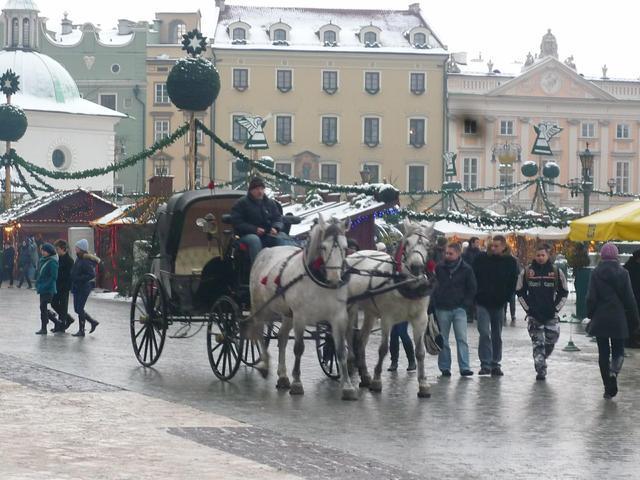 wycieczkadokrakowa14