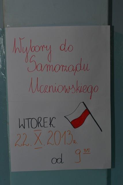 WyborySU 2013 01