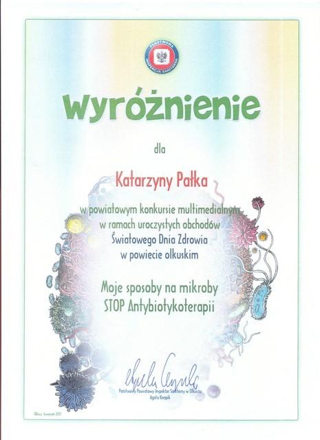 Stop antybiotykoterapii Palka Katarzyna